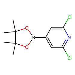 2,6-Dichloro-4-(4,4,5,5-tetramethyl-1,3,2-dioxaborolan-2-yl)pyridine|CS-W010088|408492-27-3