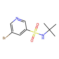 5-Bromo-N-tert-butylpyridine-3-sulfonamide, 95%|07-0321|911111-80-3