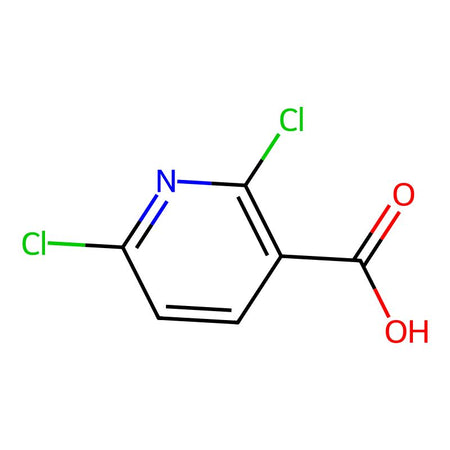 2,6-Dichloronicotinic acid, 98%|927959|38496-18-3