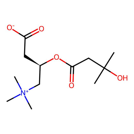 3-Hydroxyisovalerylcarnitine|C1929872|99159-87-2