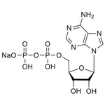 Adenosine 5?-diphosphate sodium salt, bacterial|42091|1172-42-5