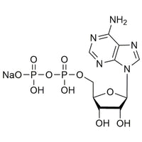 Adenosine 5?-diphosphate sodium salt, bacterial|42091|1172-42-5