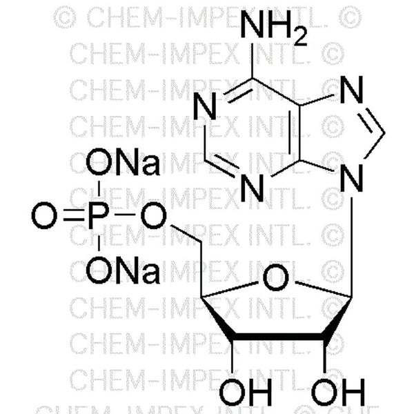 Adenosine-5'-monophosphate disodium salt|00012|4578-31-8