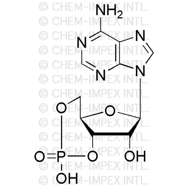 Adenosine-3',5'-cyclic monophosphate|00009|60-92-4