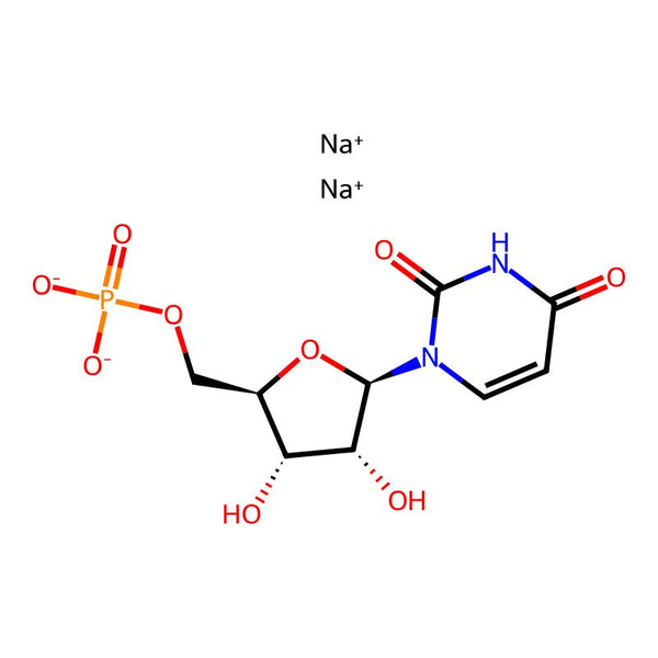 Uridine 5'-monophosphate (disodium salt)|CS-W013891|3387-36-8