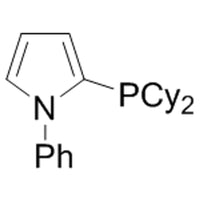 N-Phenyl-2-(dicyclohexylphosphino)pyrrole, 90% [cataCXium? PCy]|15-3610|672937-60-9