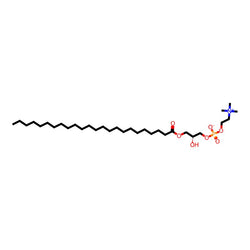 C24:0lysophosphatidvlcholine|C1916748|325171-59-3