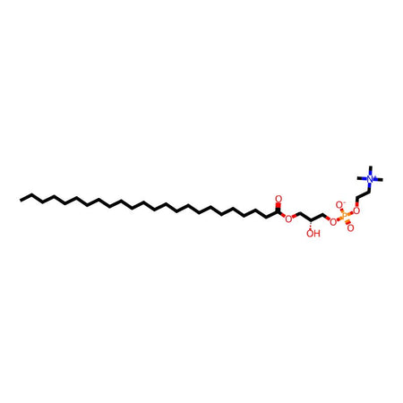 C24:0lysophosphatidvlcholine|C1916748|325171-59-3
