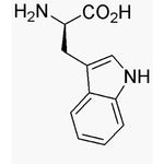 D-Tryptophan|00302|153-94-6