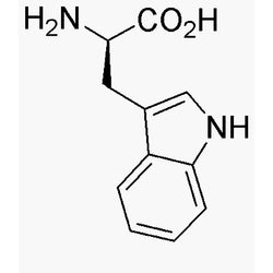 D-Tryptophan|00302|153-94-6