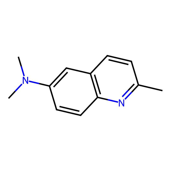 N,N,2-trimethylquinolin-6-amine|CS-W001016|92-99-9