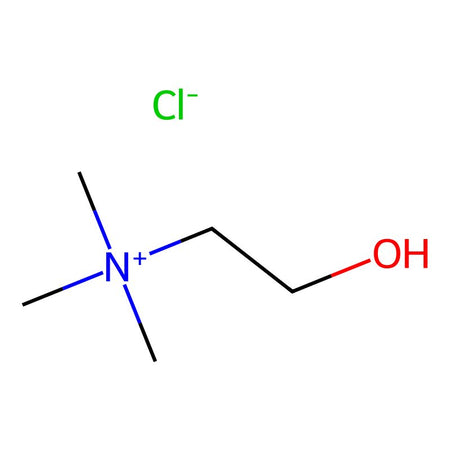 Choline Chloride|C432650|67-48-1