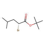 tert-Butyl (R)-2-bromo-4-methylpentanoate|CS-M2935|130464-88-9
