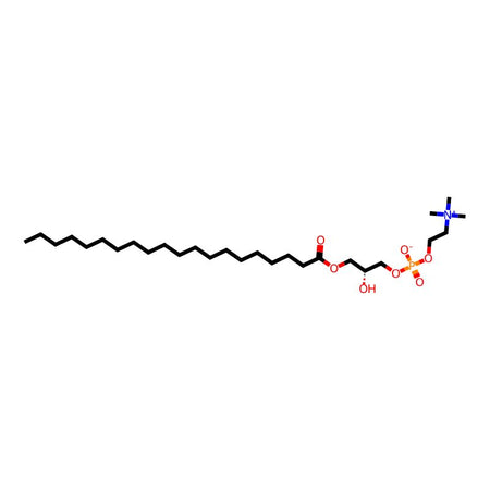 C20:0lysophosphatidvlcholine|C3D-6094|108341-80-6