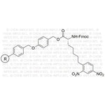 Na-Fmoc-Ne-2,4-dinitrophenyl-D-lysine 4-alkoxybenzyl alcohol resin|08069