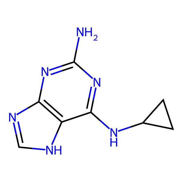 N6-Cyclopropyl-9H-purine-2,6-diamine|CS-0187573|120503-69-7