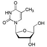 2'-Deoxy-L-thymidine|28646|3424-98-4