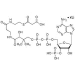 Malonyl coenzyme A lithium salt|01888|108347-84-8