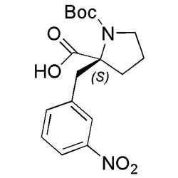 Boc-(S)-(2-nitrobenzyl)proline|15776|1217814-62-4