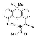 [S(R)]-N-[(R)-[5-(Diphenylphosphino)-9,9-dimethyl-9H-xanthen-4-yl]phenylmethyl]-2-methyl-2-propanesulfinamide, 95%|15-8419