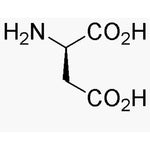 D-Aspartic acid|00370|1783-96-6
