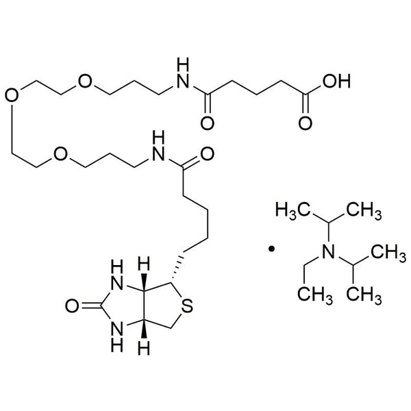 Biotinyl-TOTA-glutaramic acid DIPEA salt|30506|1205744-09-7