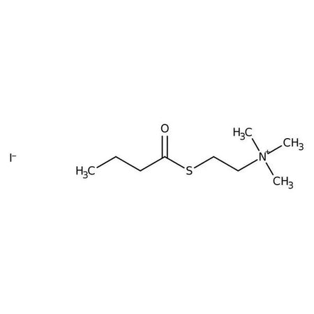 S-Butyrylthiocholine iodide, 99%|157752|1866-16-6