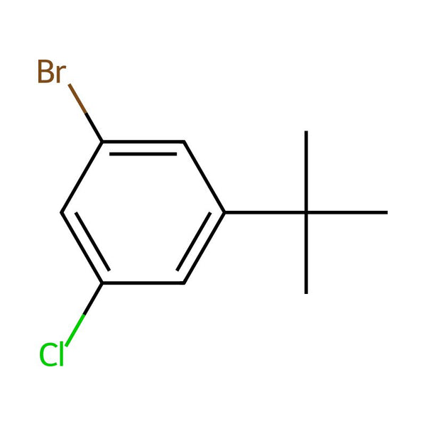 1-Bromo-3-(tert-butyl)-5-chlorobenzene|CS-0435069|1263377-20-3