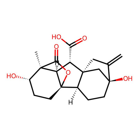 Gibberellin A1, 95%|1683962|545-97-1
