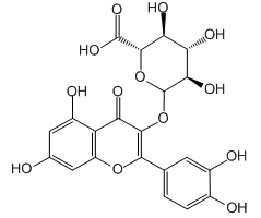 Quercetin 3-glucuronide, 98%, from Bupleurum chinense DC.|974348|22688-79-5
