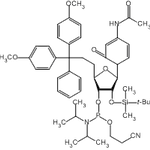 Ac-rC Phosphoramidite|CS-W023256|121058-88-6