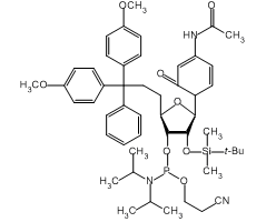 Ac-rC Phosphoramidite|CS-W023256|121058-88-6