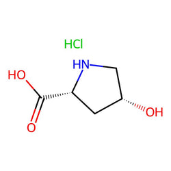 cis-4-Hydroxy-d-proline hydrochloride, 97%|912438|77449-94-6