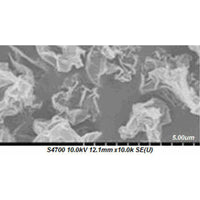 Graphene oxide (0.8-1.2nm thick x 1-15 microns wide, made by the Staudenmaier Method)|06-0323|1034343-98-0