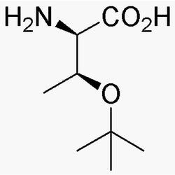 O-tert-Butyl-D-threonine|03315|201274-81-9