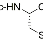 Fmoc-L-cysteic acid|35194|751470-47-0