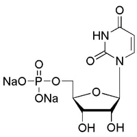 Uridine-5'-monophosphate disodium|01527|3387-36-8