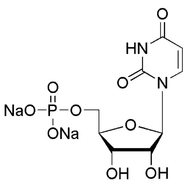 Uridine-5'-monophosphate disodium|01527|3387-36-8