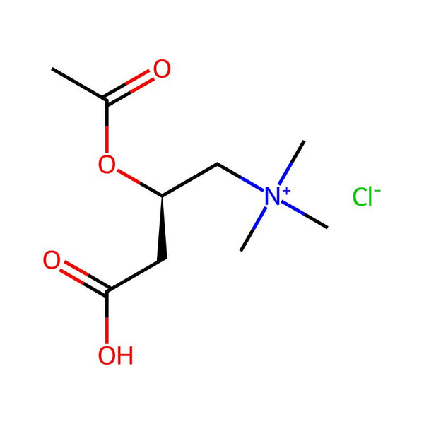 Acetyl-L-carnitine (hydrochloride)|CS-0009648|5080-50-2