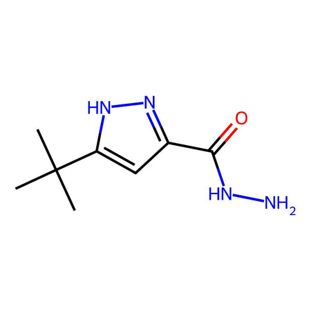 3-tert-Butyl-1H-pyrazole-5-carbohydrazide, 97%|263304|262292-02-4