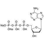 2'-Deoxyadenosine-5'-triphosphate sodium salt solution, 100 mM solution, pH 7|37445|1927-31-7