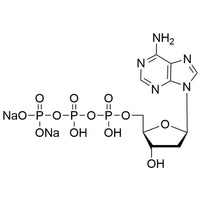 2'-Deoxyadenosine-5'-triphosphate sodium salt solution, 100 mM solution, pH 7|37445|1927-31-7