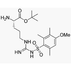 Nw-(4-Methoxy-2,3,6-trimethylbenzenesulfonyl)-L-arginine tert-butyl ester|05851|115608-61-2