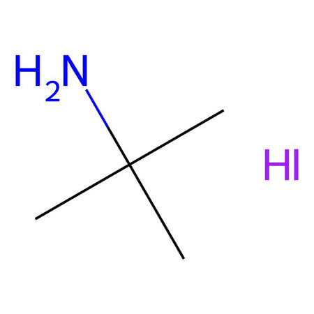 tert-Butylamine hydroiodide, 98%|9005454|39557-45-4