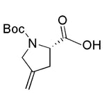 Boc-4-methylene-L-proline|16572|84348-38-9