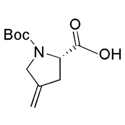 Boc-4-methylene-L-proline|16572|84348-38-9
