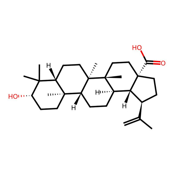 Betulinic acid|CS-1216|472-15-1