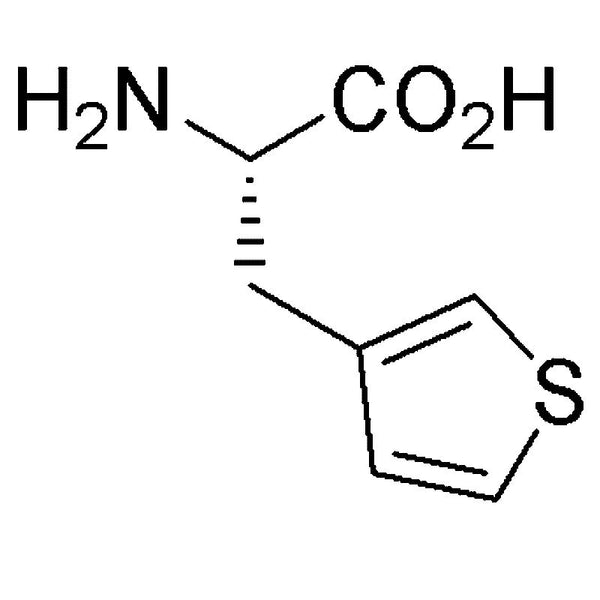 b-(3-Thienyl)-L-alanine|07438|3685-51-6