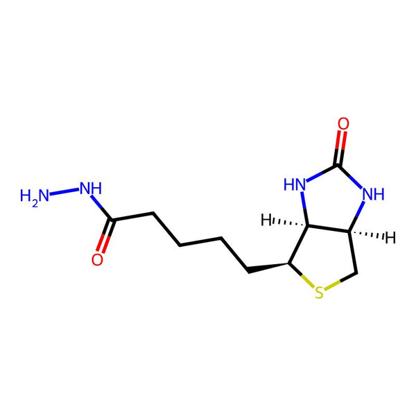 Biotin Hydrazide|CS-6036|66640-86-6