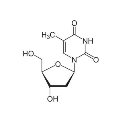 Thymidine